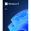 windows-11-pro-1